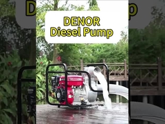 Zentrifugalpumpe zur Wasserpumpe in der Landwirtschaft und in Benzinmotoren